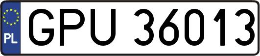 GPU36013