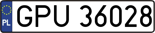 GPU36028