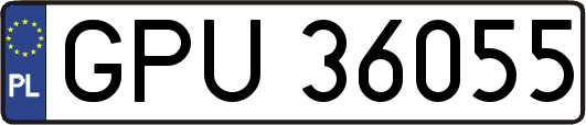 GPU36055