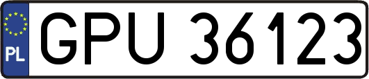 GPU36123