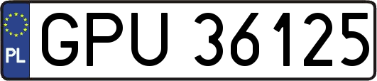 GPU36125