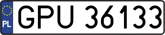 GPU36133