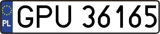 GPU36165