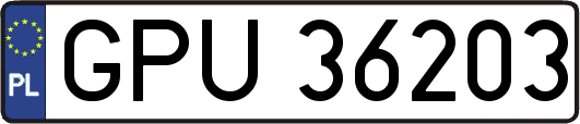 GPU36203