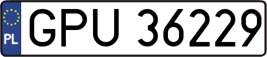 GPU36229