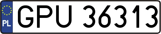 GPU36313
