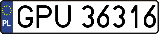 GPU36316