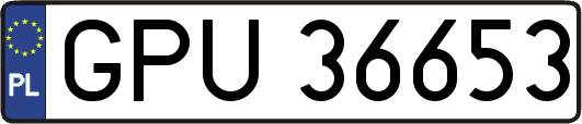 GPU36653
