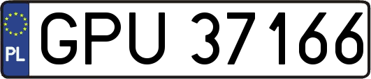 GPU37166