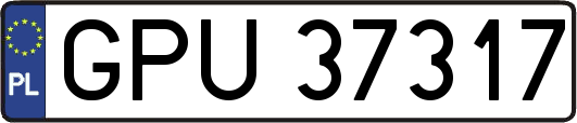 GPU37317
