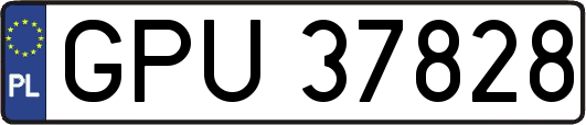 GPU37828