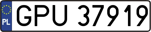 GPU37919
