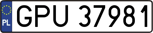 GPU37981