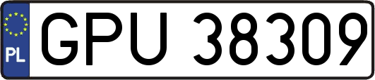 GPU38309