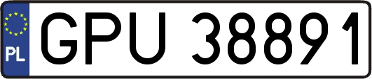 GPU38891