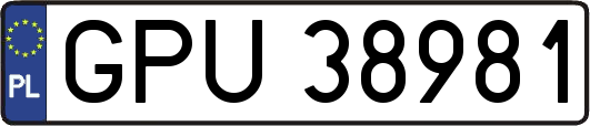 GPU38981