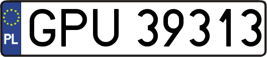 GPU39313