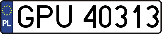 GPU40313
