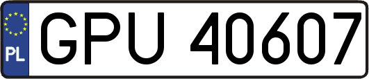GPU40607
