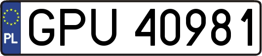 GPU40981