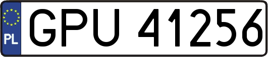 GPU41256