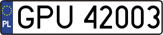 GPU42003