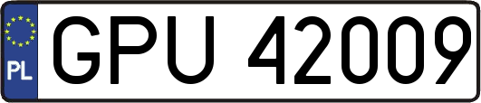 GPU42009