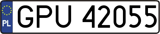 GPU42055