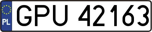 GPU42163