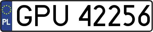 GPU42256