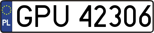 GPU42306