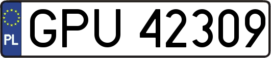 GPU42309