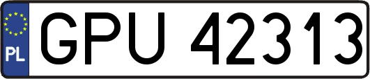 GPU42313