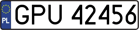GPU42456