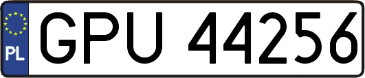 GPU44256