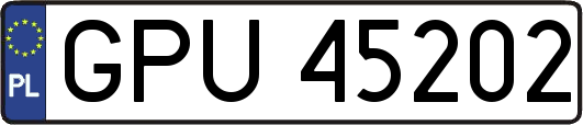 GPU45202