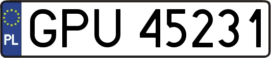 GPU45231