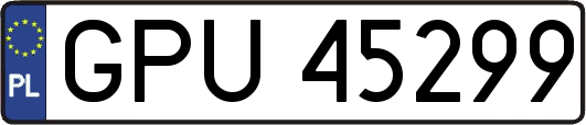 GPU45299
