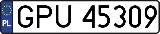GPU45309