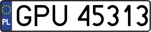 GPU45313