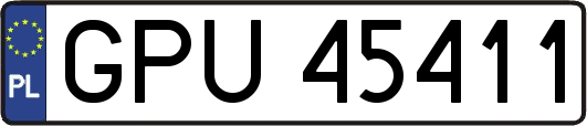 GPU45411