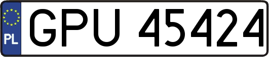 GPU45424