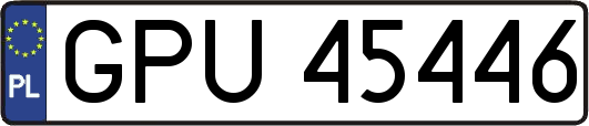 GPU45446