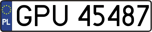 GPU45487