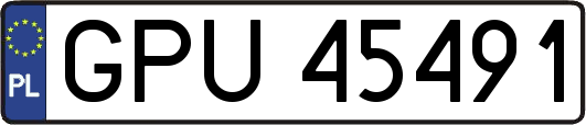 GPU45491