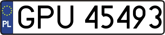 GPU45493