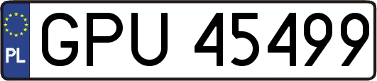 GPU45499