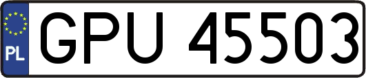 GPU45503
