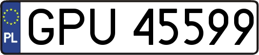 GPU45599
