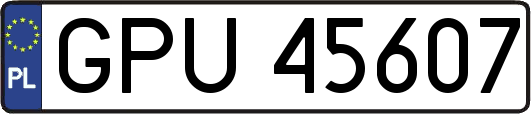 GPU45607
